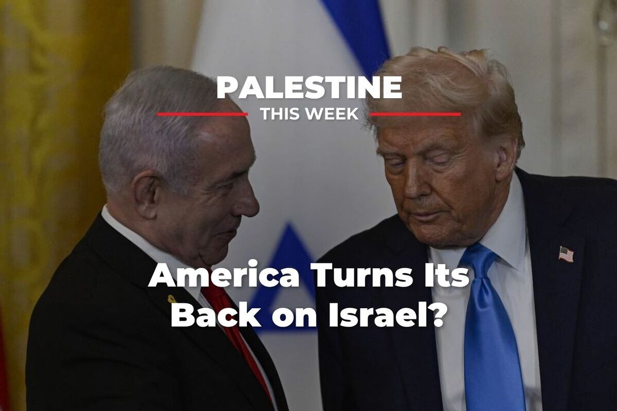 PalestineThisWeek Cover 1 1
