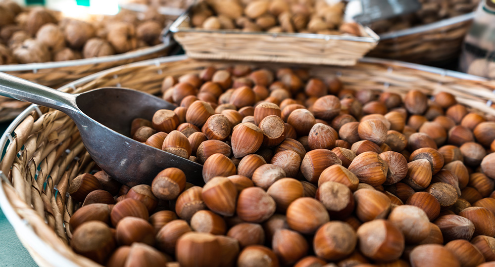 Producao de Macadamia