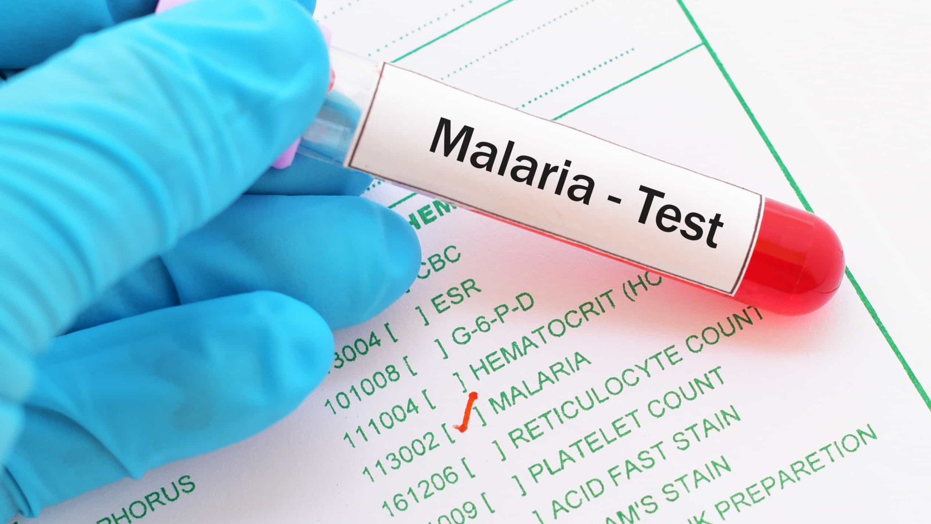 malaria dd6ebc23c7