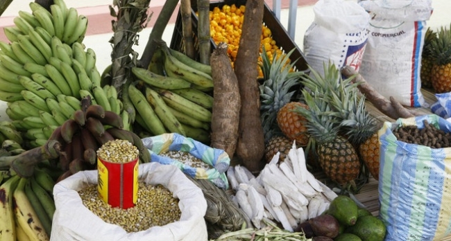Sofala: Beira prevê produzir cerca de 150 toneladas de produtos agrícolas
