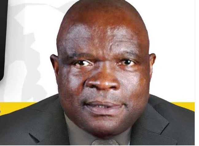 RSA partido IFP Petrosse sitole